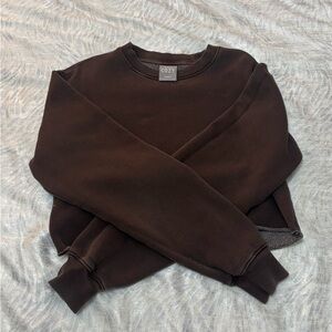Aritzia Sweatshirt